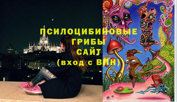 гашик Пестово
