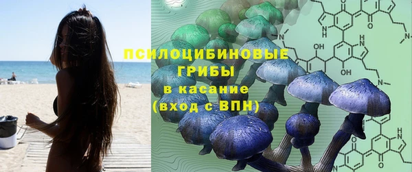 трава Алексеевка