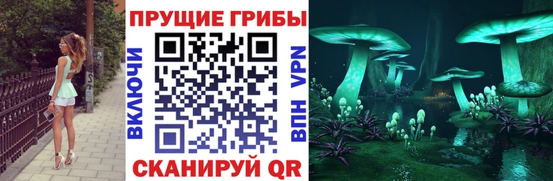 закладки Ефремов Галлюциногенные грибы мухоморы